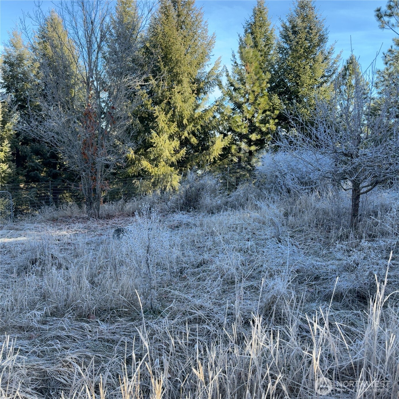 331 Corbett Creek Road Colville, WA 99114 - Photo 28 of 29