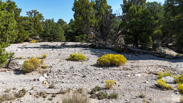 123 Tbd Prout Wash Road North Cedar City, UT 84721 - Photo 58 of 82