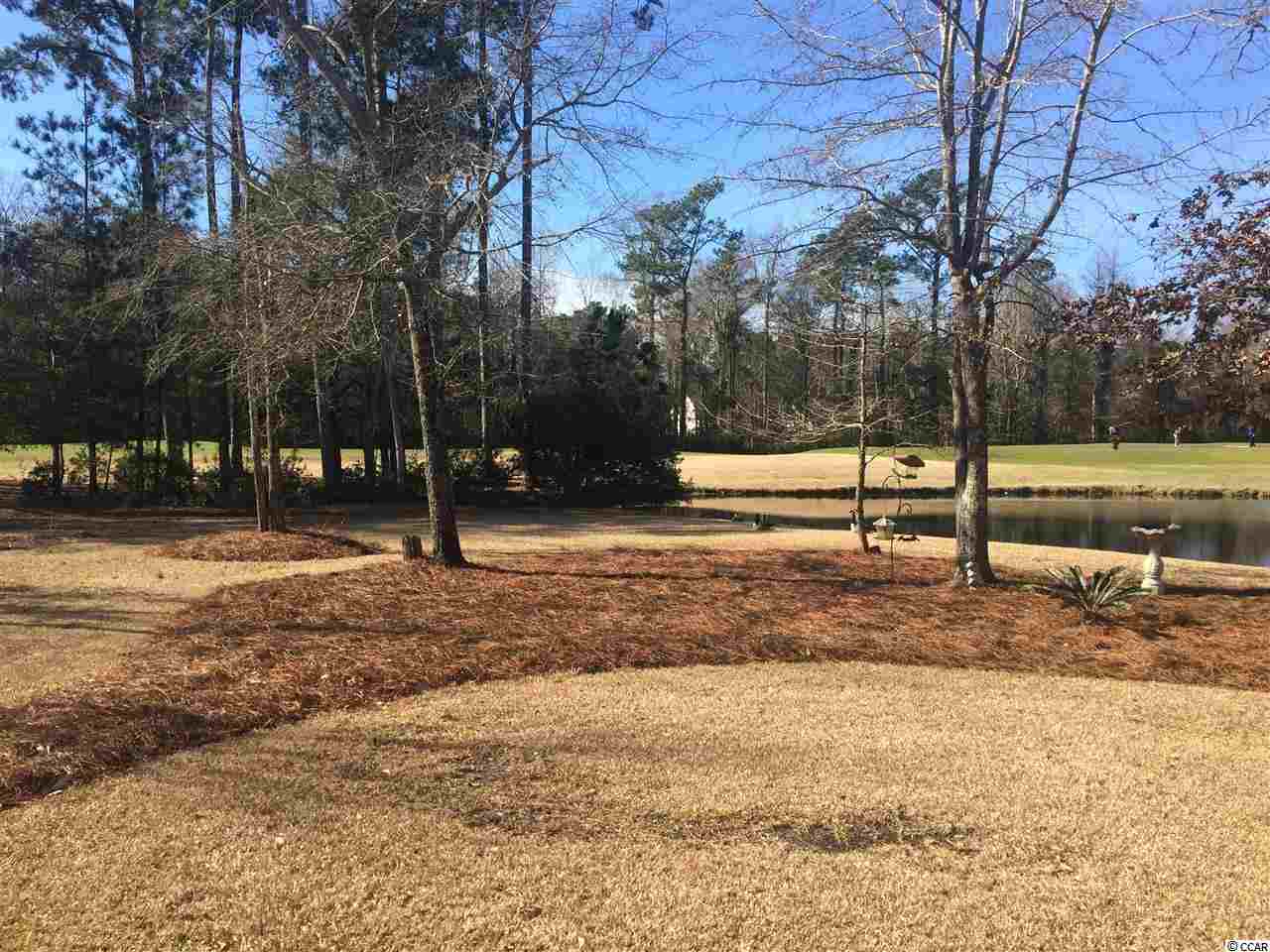10 Palmetto Place Murrells Inlet, SC 29576 - Photo 21 of 25 Gallery Image 21