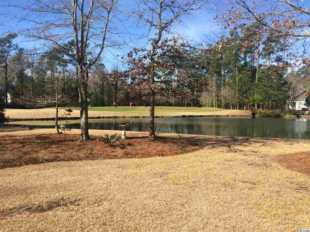 10 Palmetto Place Murrells Inlet, SC 29576 - Photo 22 of 25 Gallery Image 22
