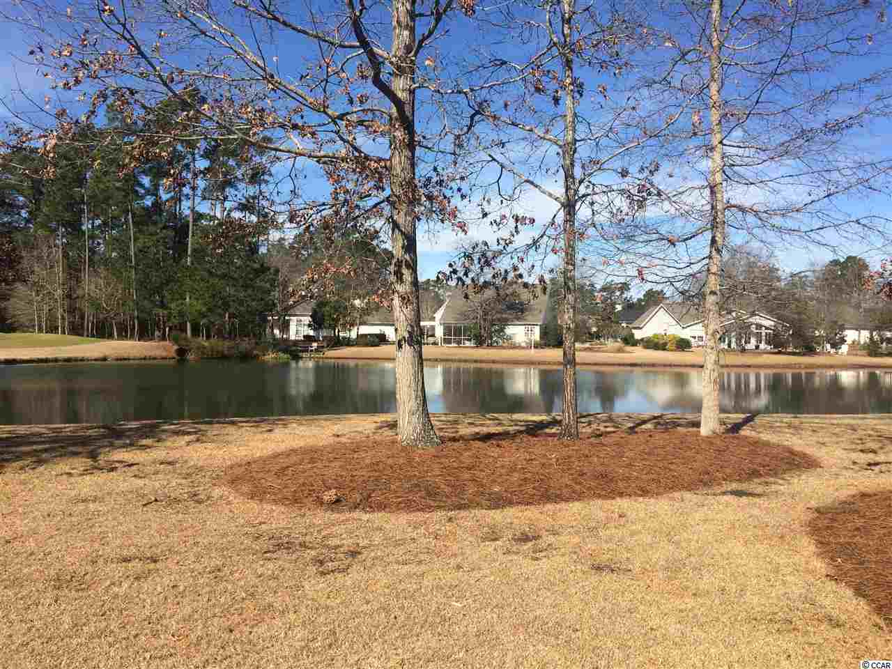 10 Palmetto Place Murrells Inlet, SC 29576 - Photo 23 of 25 Gallery Image 23
