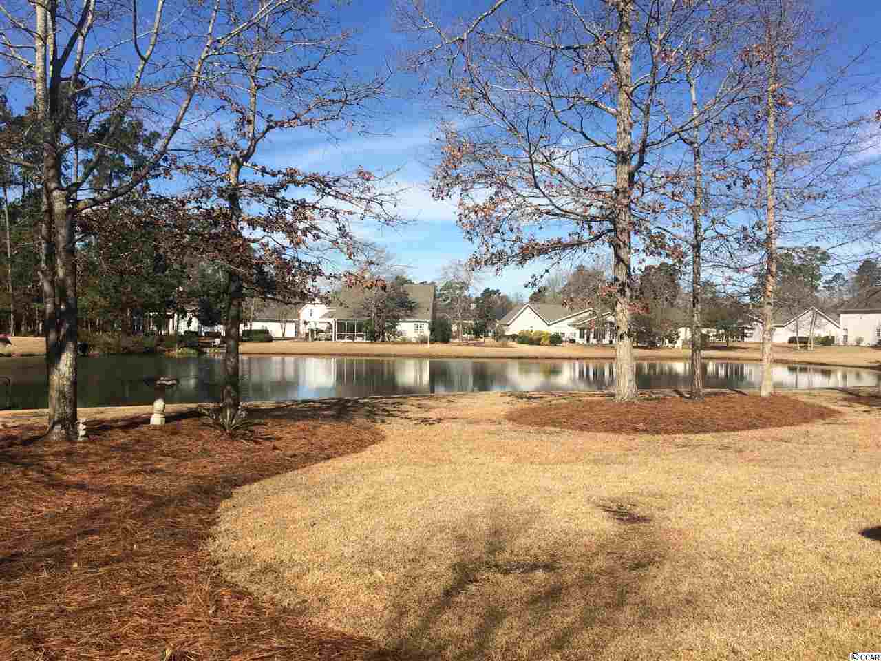 10 Palmetto Place Murrells Inlet, SC 29576 - Photo 24 of 25 Gallery Image 24