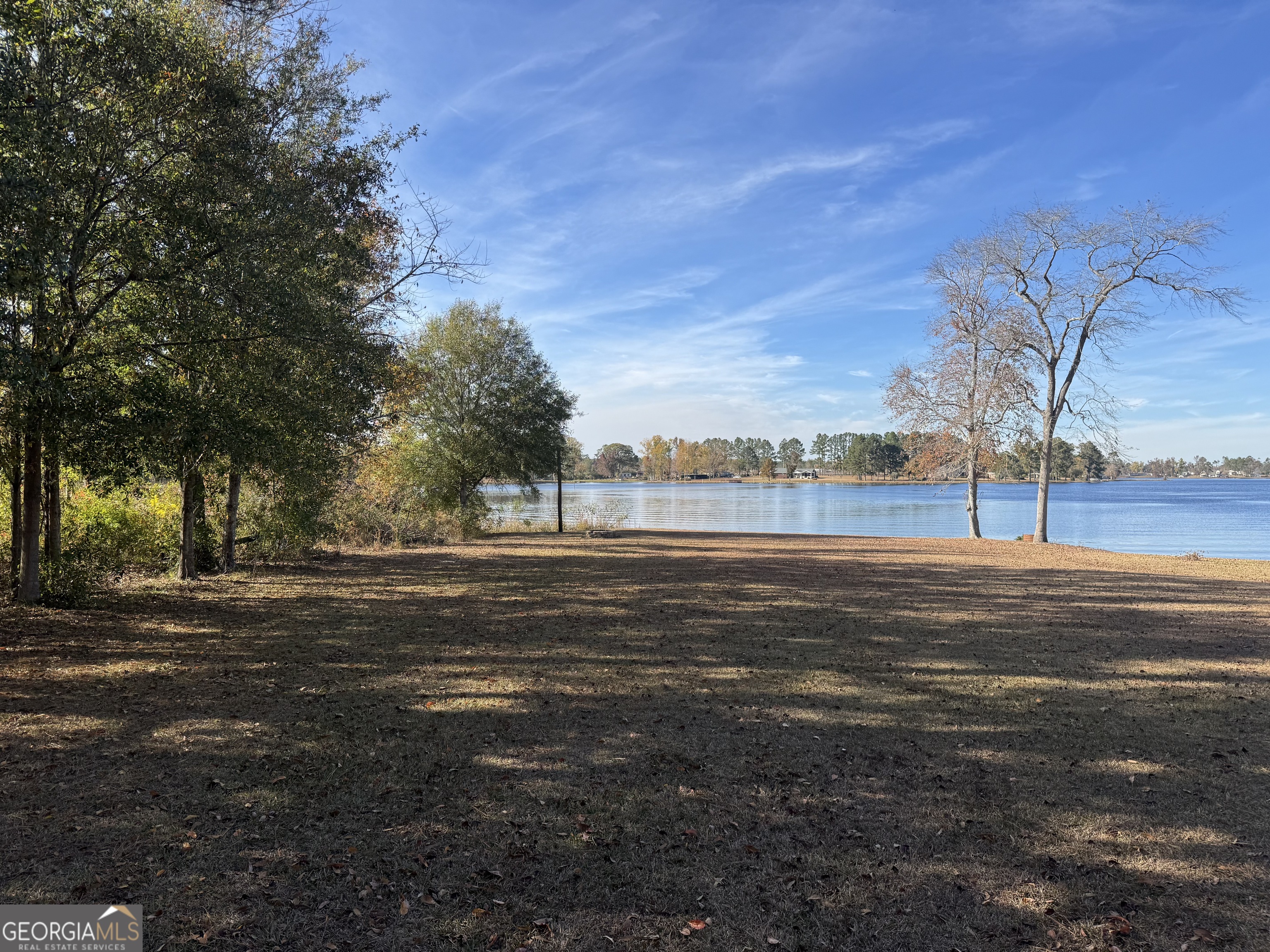 2648 Buck Head Road Baxley, GA 31513 - Photo 2 of 20 a view of lake view with trees