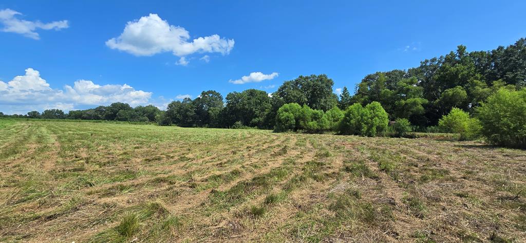 91 County Road 91 Slocomb, AL 36375 - Photo 2 of 18