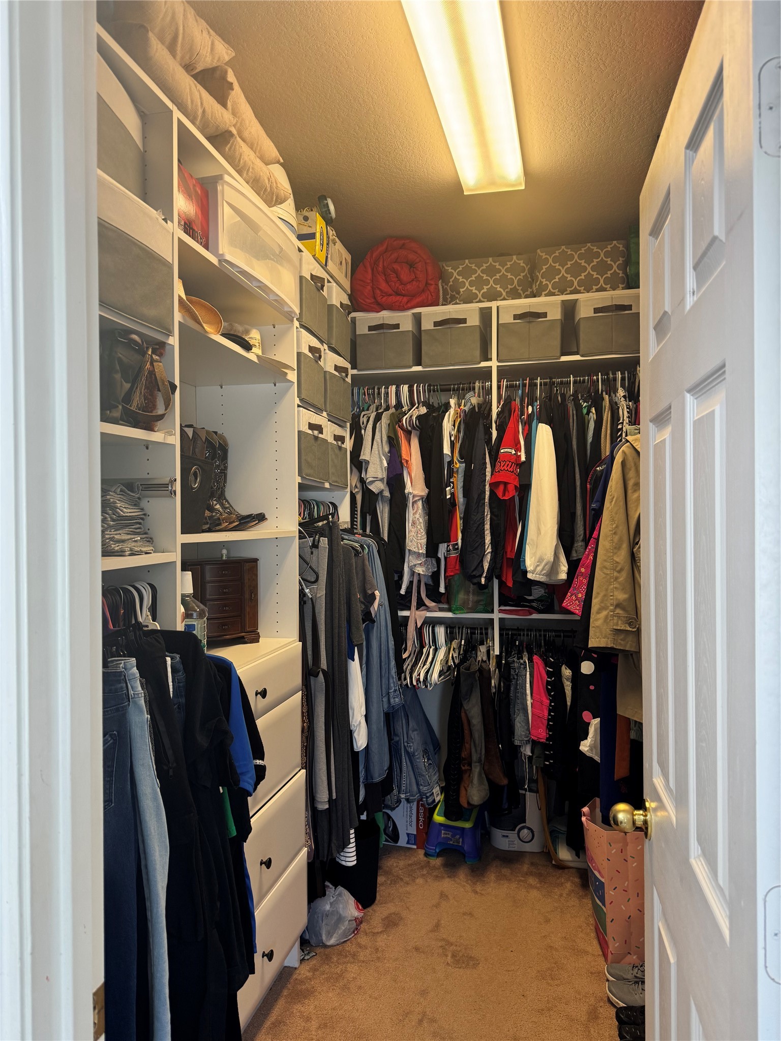 8502 Parapet Place Rosharon, TX 77583 - Photo 19 of 34 a view of walk in closet with clothes