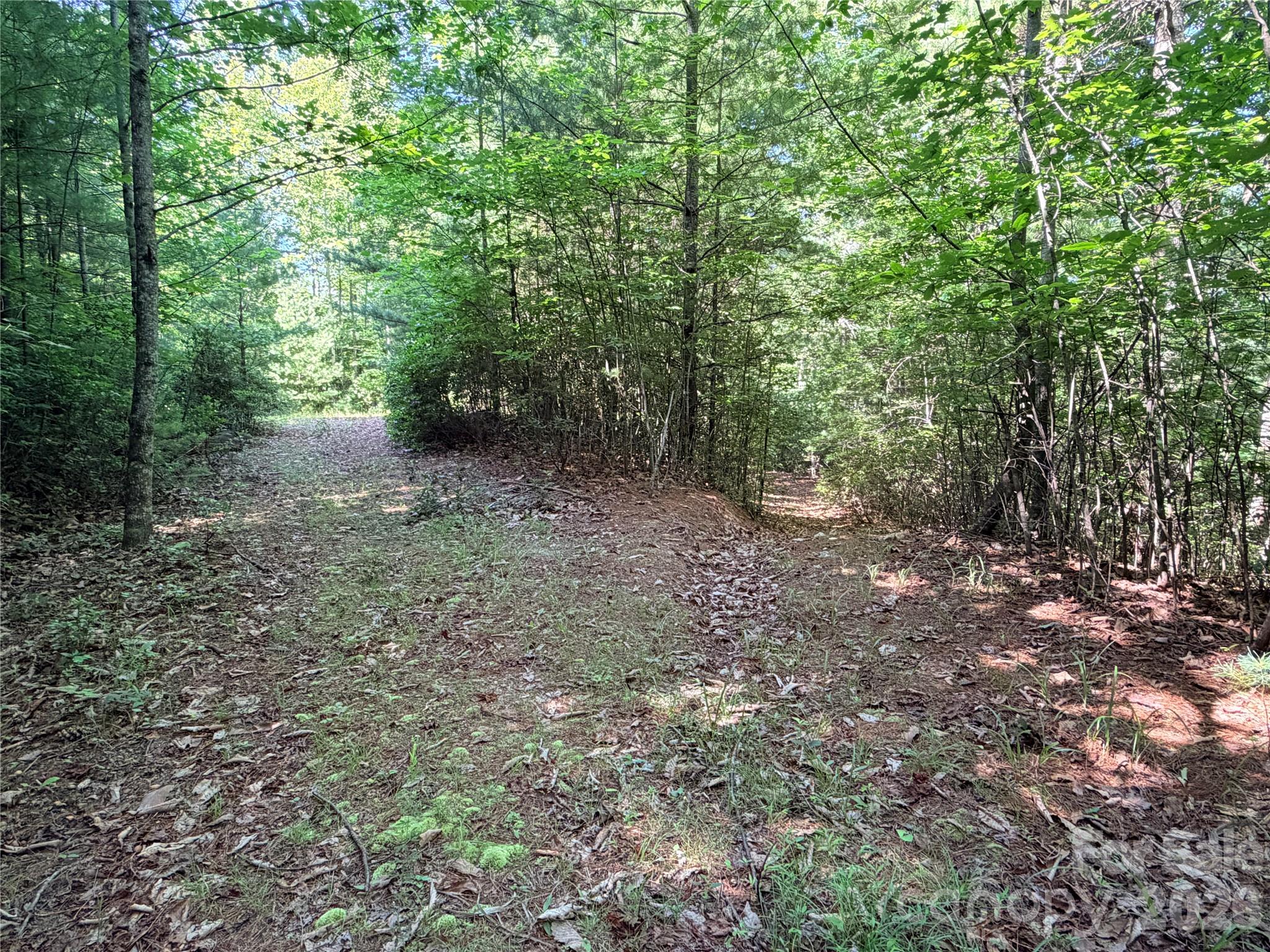 Tbd Blue Rock Road, Unit 171 & 172B Purlear, NC 28665 - Photo 10 of 44