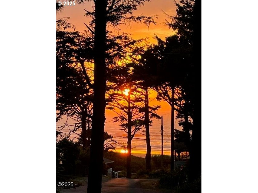 3512 Highway 101 Yachats, OR 97498 - Photo 3 of 39 a picture of tree