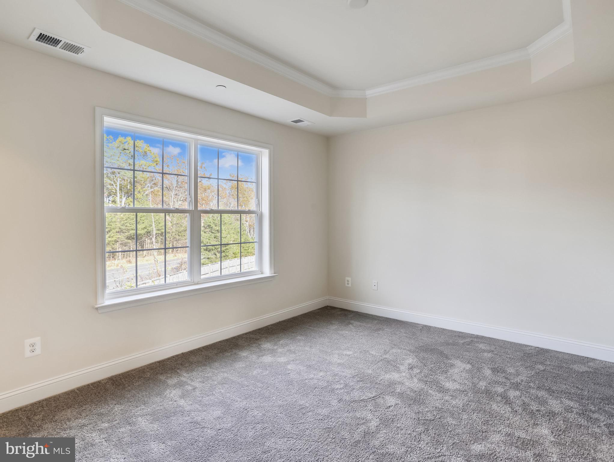 128 Overlea Road Severna Park, MD 21146 - Photo 13 of 30 Large Master bedroom with tray ceiling!