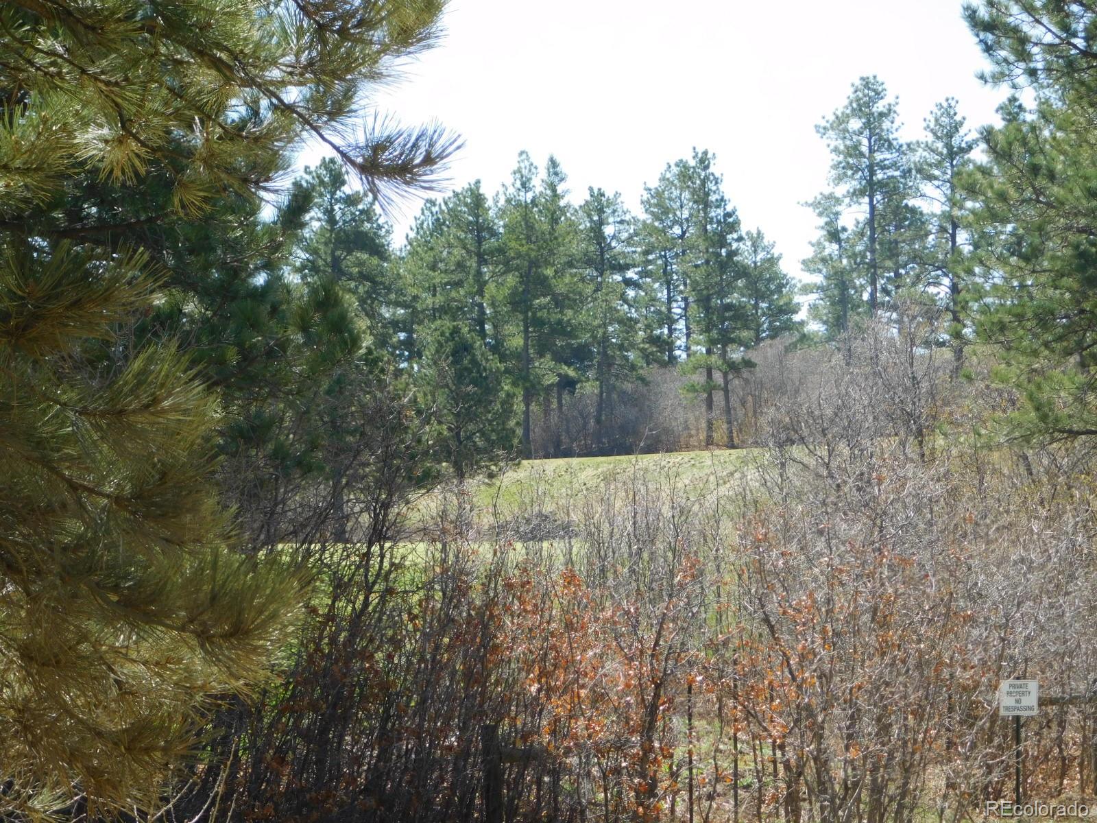 6625 Balsamroot Road Larkspur, CO 80118 - Photo 13 of 13 Gallery Image 13