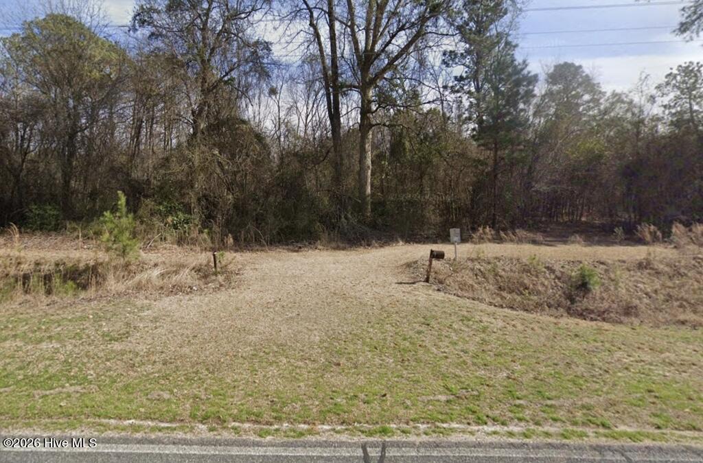 777 Bull Tail Road Wallace, NC 28466 - Photo 4 of 4