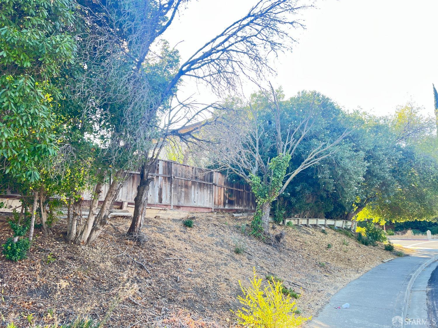 2901 Camby Road Antioch, CA 94509 - Photo 19 of 21 a view of a outdoor space