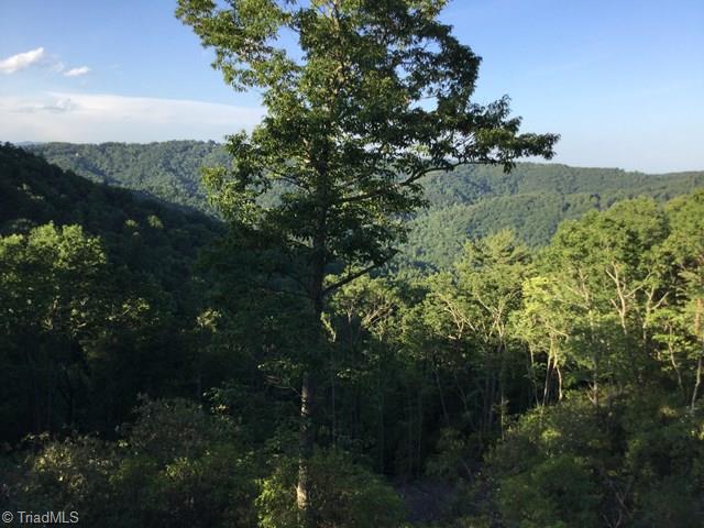 3043 Buck Mountain Road Purlear, NC 28665 - Photo 3 of 22