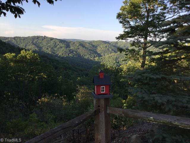 3043 Buck Mountain Road Purlear, NC 28665 - Photo 22 of 22