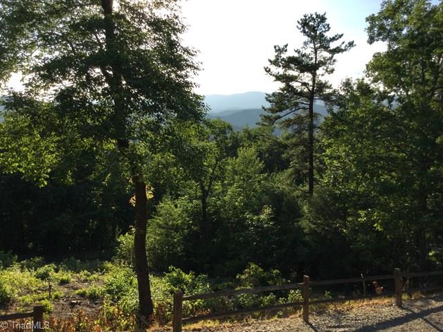 3043 Buck Mountain Road Purlear, NC 28665 - Photo 5 of 22