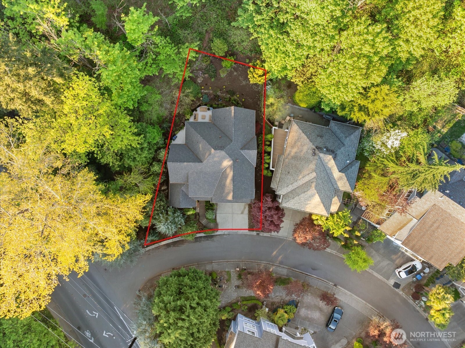 2290 140th Way Southeast Bellevue, WA 98007 - Photo 37 of 39 an aerial view of a house with a yard and a large tree