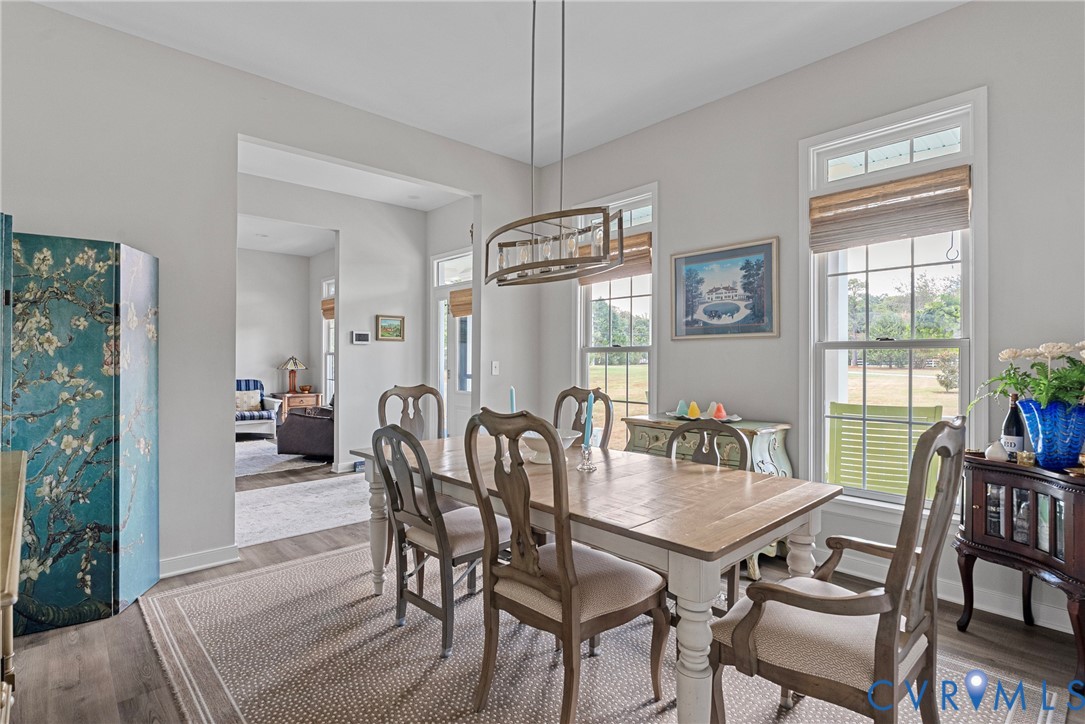 935 Ring Farm Road White Stone, VA 22578 - Photo 23 of 52 Dining room with wood finished floors and suspende