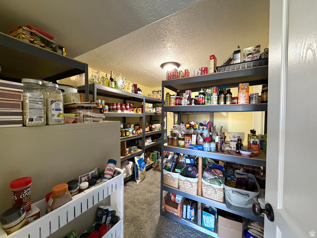 202 375 West Providence, UT 84332 - Photo 29 of 61 View of huge storage area