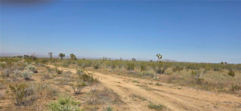 0 175th Street Llano, CA 93544 - Photo 9 of 16