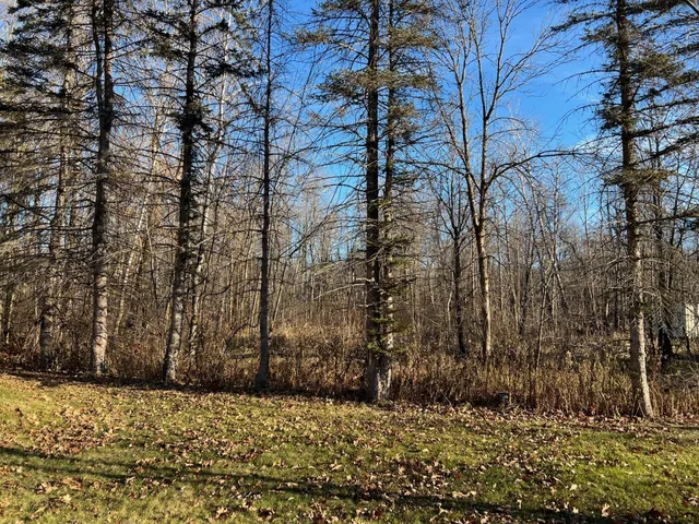 $210,000 | 7302 Lake Camile Drive, Randall, MN 56475