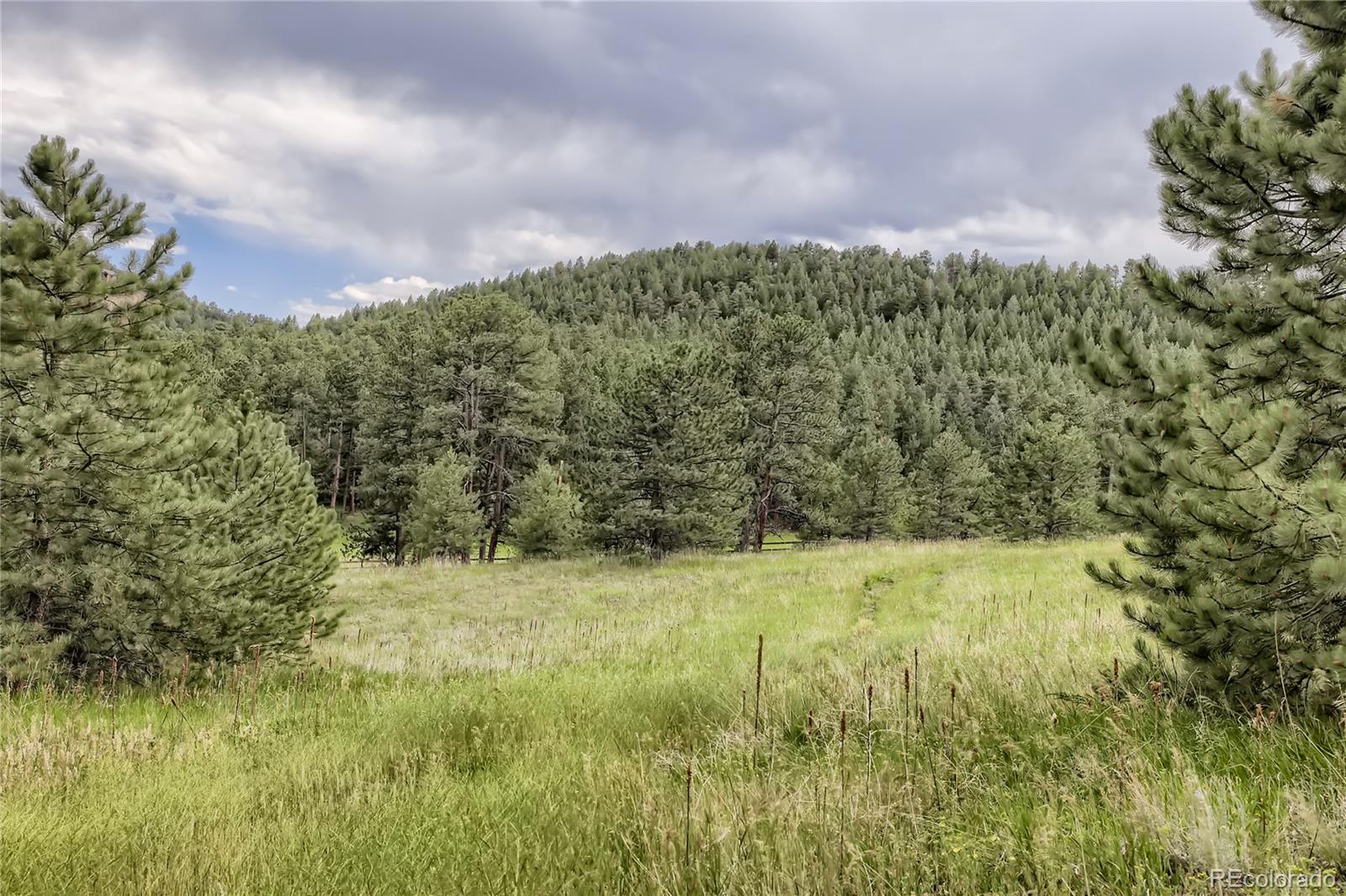 30433 Ruby Ranch Road Evergreen, CO 80439 - Photo 39 of 40 Gallery Image 39