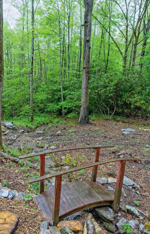 4101 Bald Creek Road Clyde, NC 28721 - Photo 23 of 45