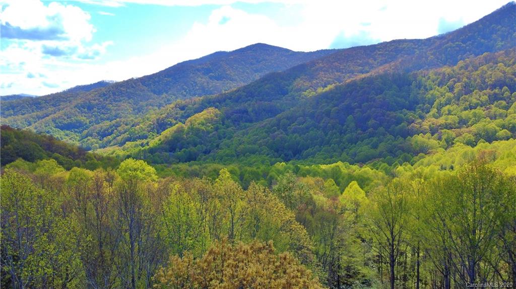 4101 Bald Creek Road Clyde, NC 28721 - Photo 35 of 45