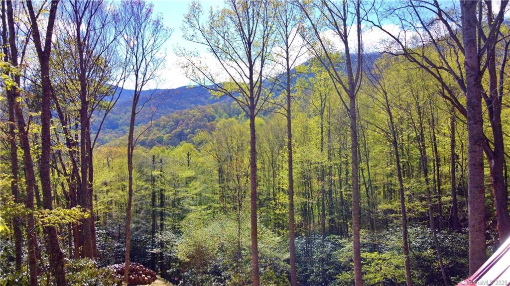 4101 Bald Creek Road Clyde, NC 28721 - Photo 43 of 45