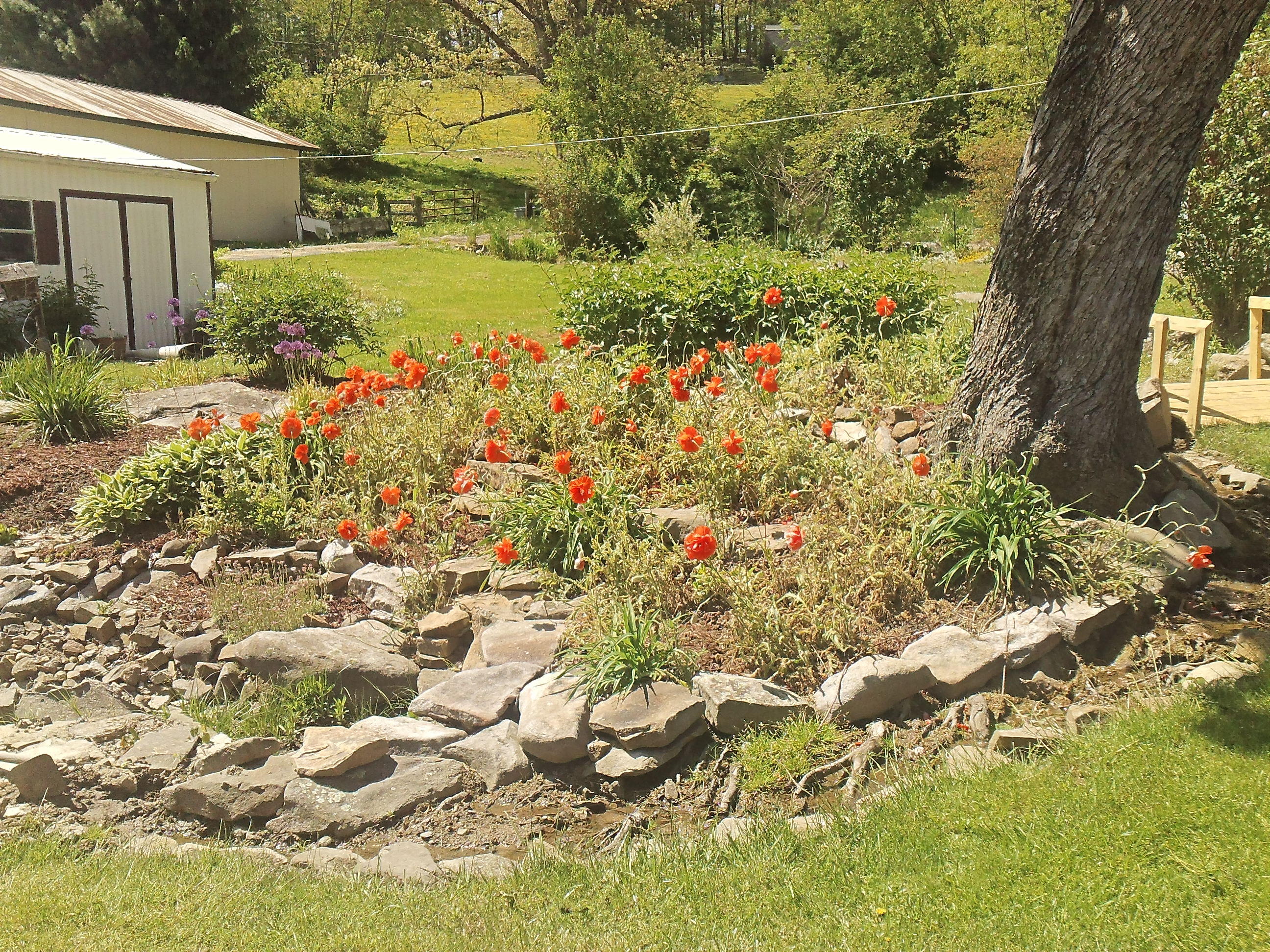 399 Cow Town Road Meadow Bridge, WV 25976 - Photo 15 of 16 Gallery Image 15