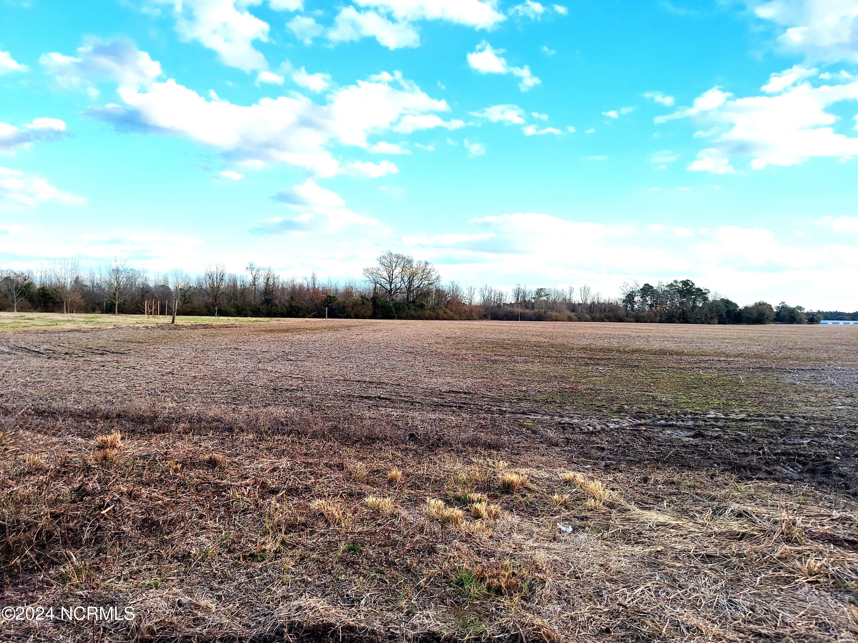 0 Wildcat Road Harrells, NC 28444 - Photo 4 of 10 20240119_0.wildcat.28444_front.view.1b