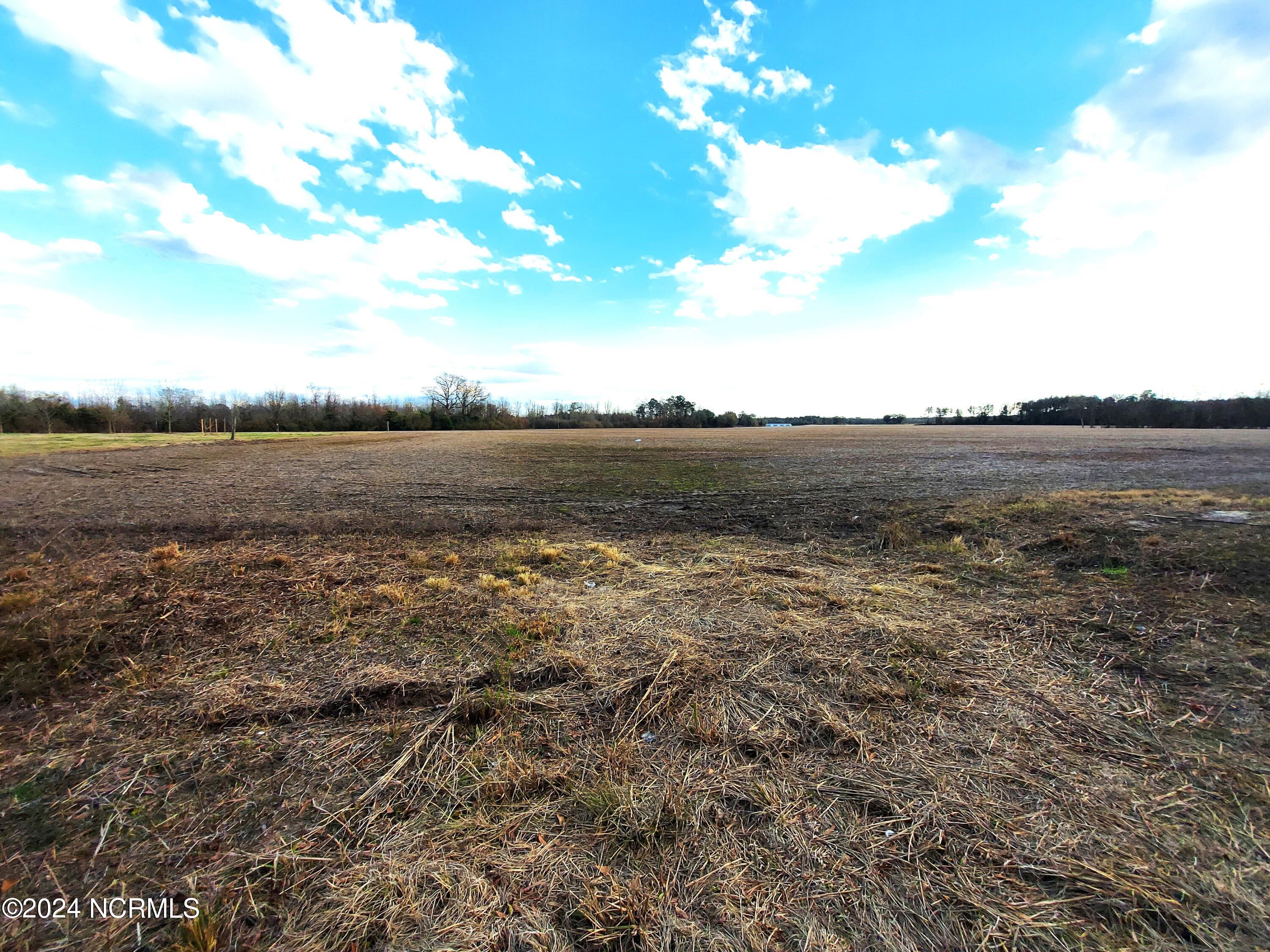 0 Wildcat Road Harrells, NC 28444 - Photo 5 of 10 20240119_0.wildcat.28444_front.view.2b