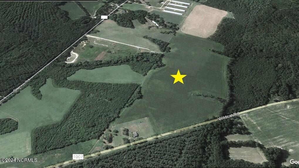 0 Wildcat Road Harrells, NC 28444 - Photo 7 of 10 20180709_0.wildcat_GMP.slant.view.b2