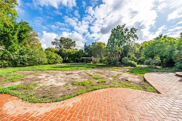 a view of a yard with plants