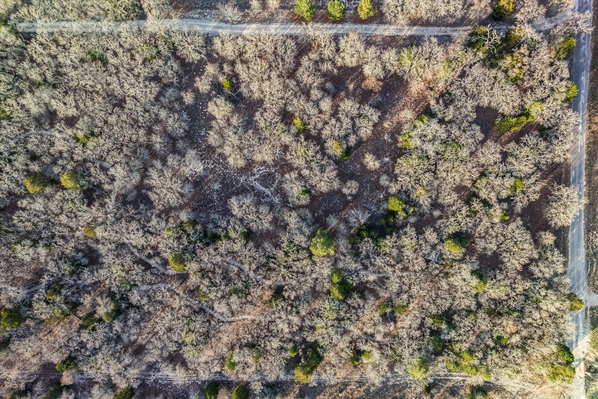 Tbd Christensen Road Elgin, TX 78621 - Photo 7 of 11