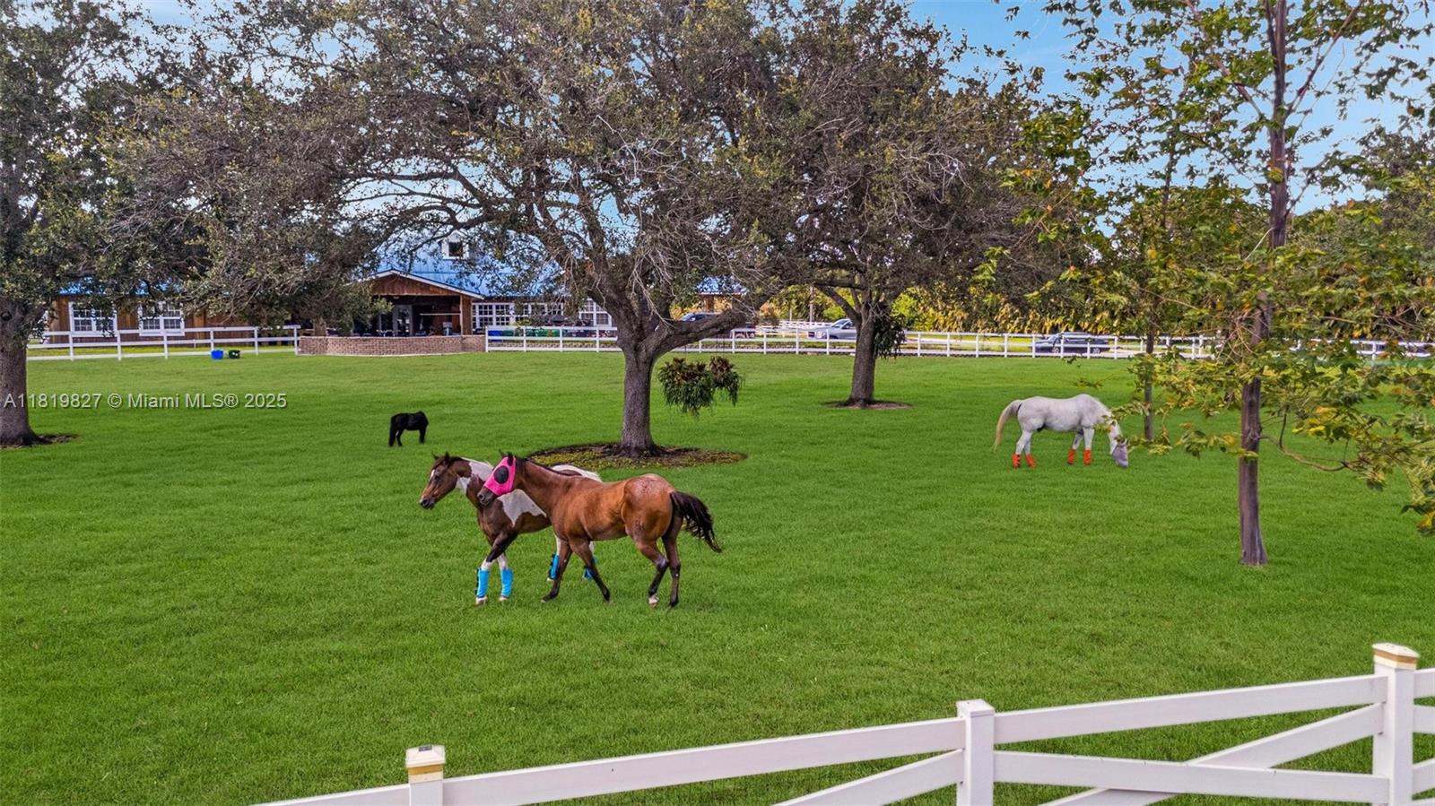 12851 Luray Road Southwest Ranches, FL 33330 - Photo 51 of 58 a view of yard with green space and porch