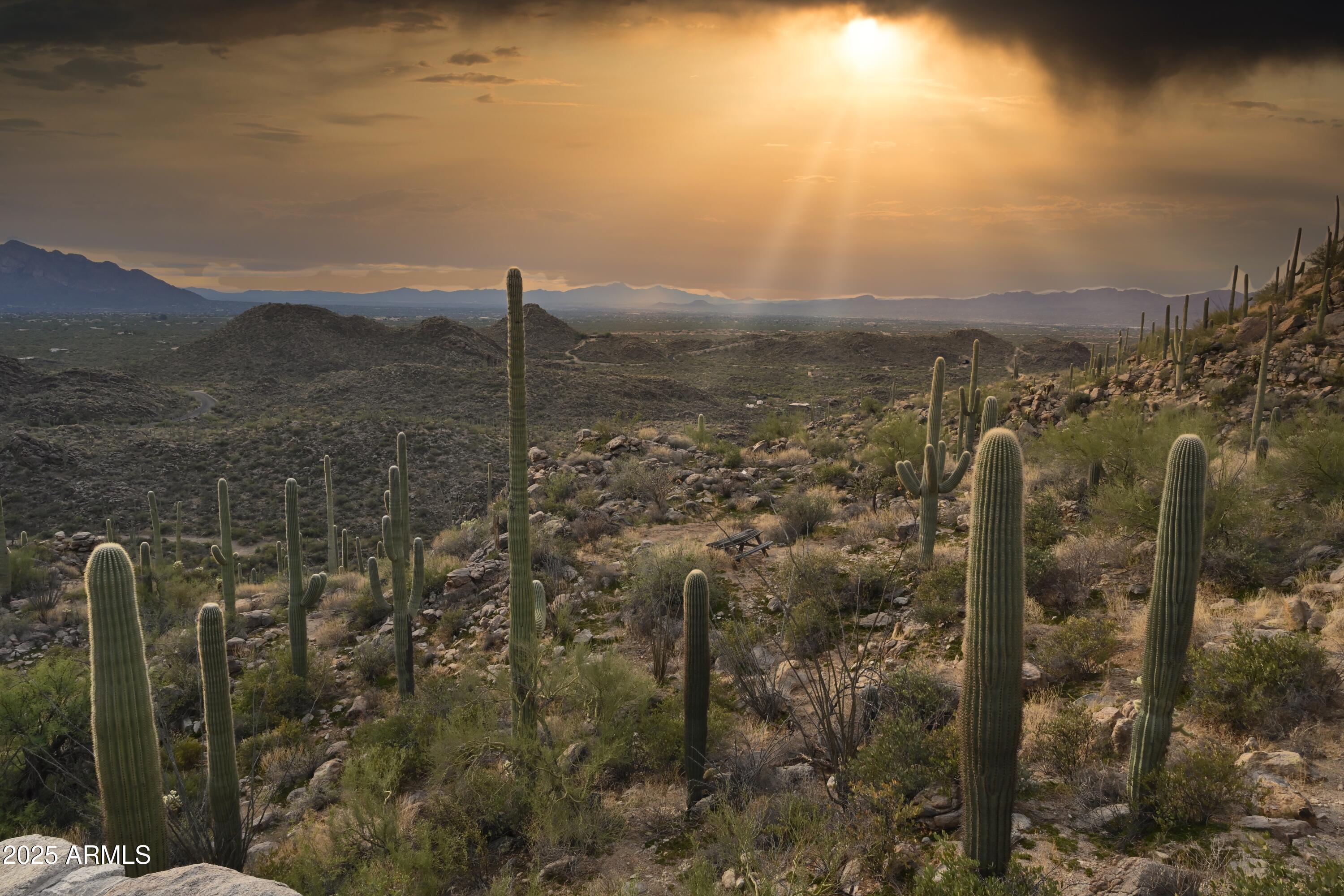 14460 North Old Ranch House Road, Unit 1 Marana, AZ 85658 - Photo 19 of 29 AZ Sunrise