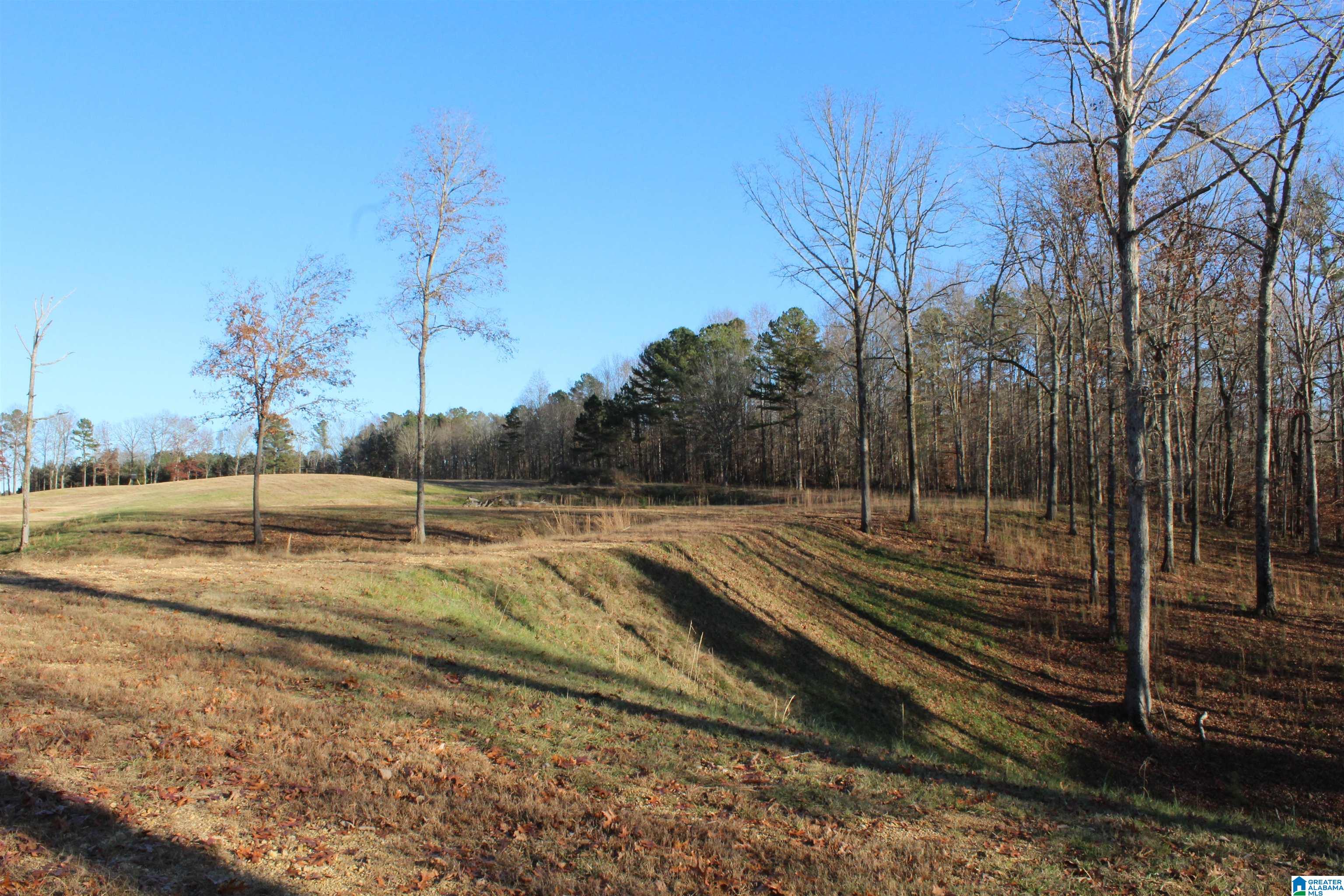 589 Morris Road Pell City, AL 35128 - Photo 26 of 29