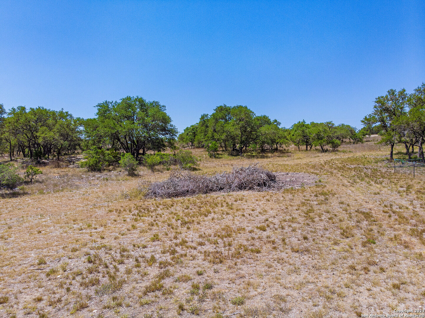 699 Whiskey Trail Blanco, TX 78606 - Photo 11 of 20