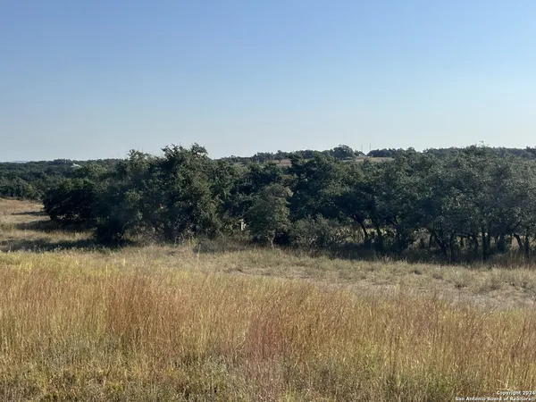 $229,000 | 699 Whiskey Trail, Blanco, TX 78606