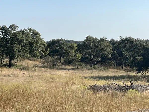 $229,000 | 699 Whiskey Trail, Blanco, TX 78606