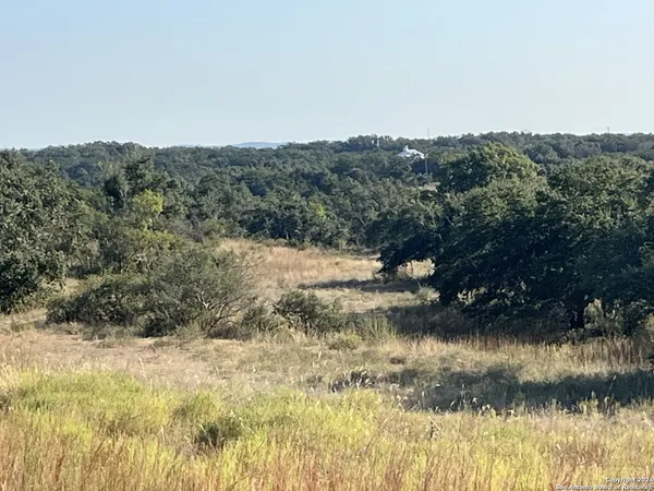 $229,000 | 699 Whiskey Trail, Blanco, TX 78606