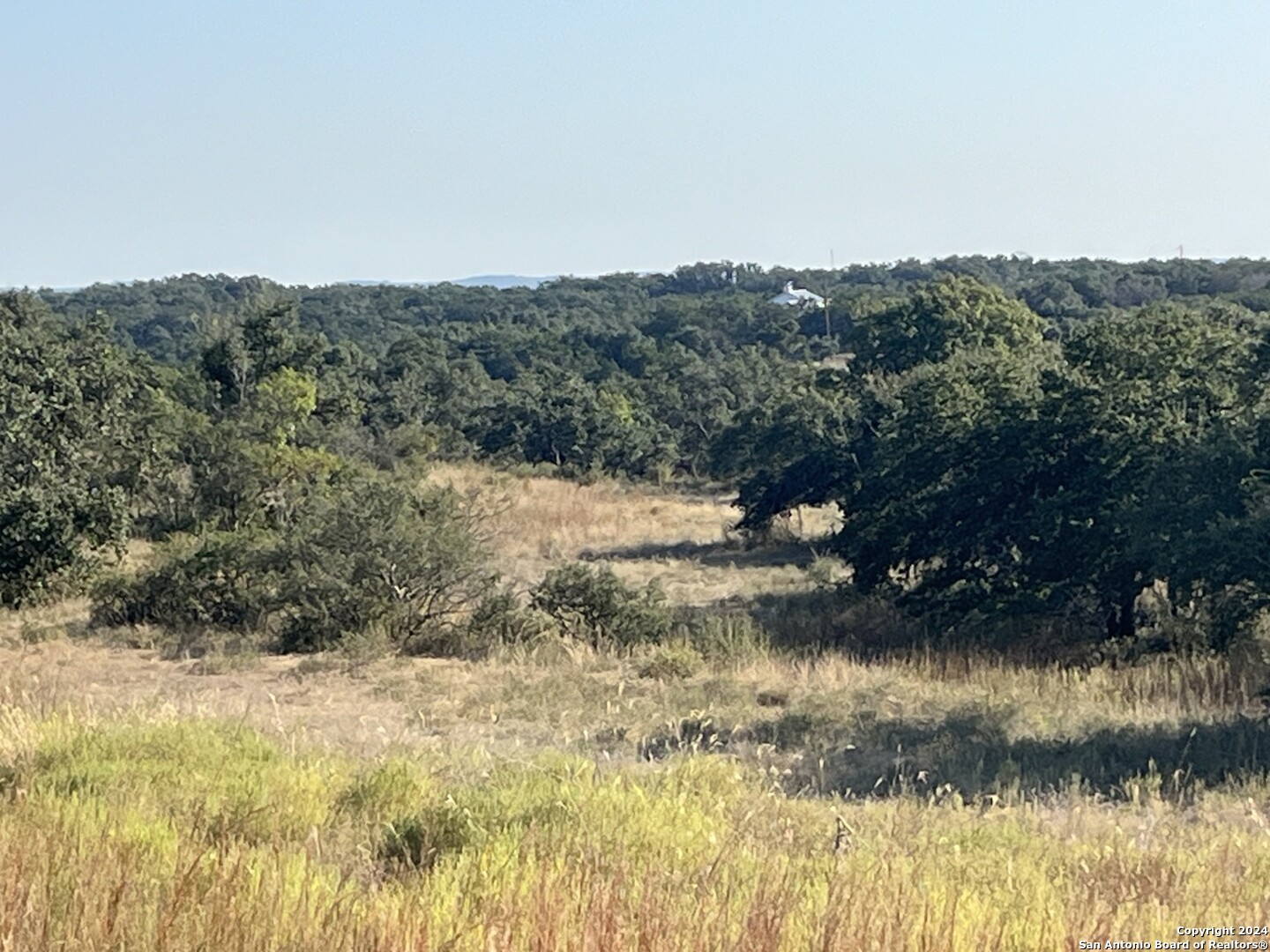 699 Whiskey Trail Blanco, TX 78606 - Photo 15 of 20