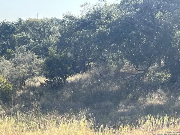 $229,000 | 699 Whiskey Trail, Blanco, TX 78606