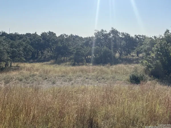 $229,000 | 699 Whiskey Trail, Blanco, TX 78606