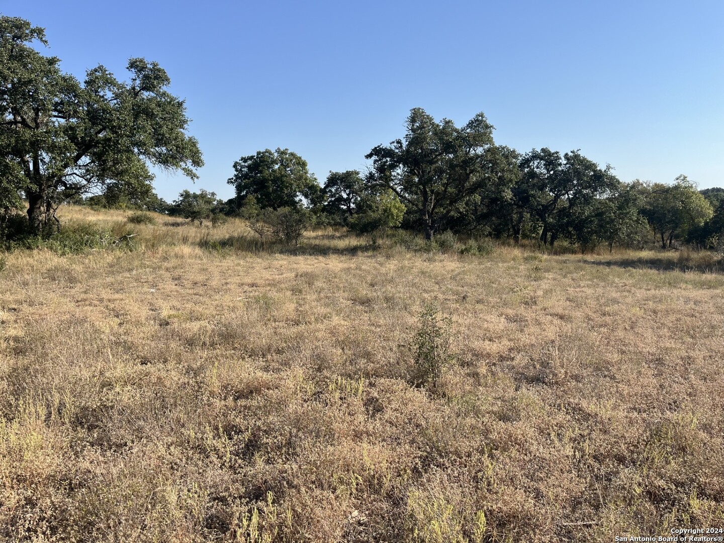 699 Whiskey Trail Blanco, TX 78606 - Photo 18 of 20