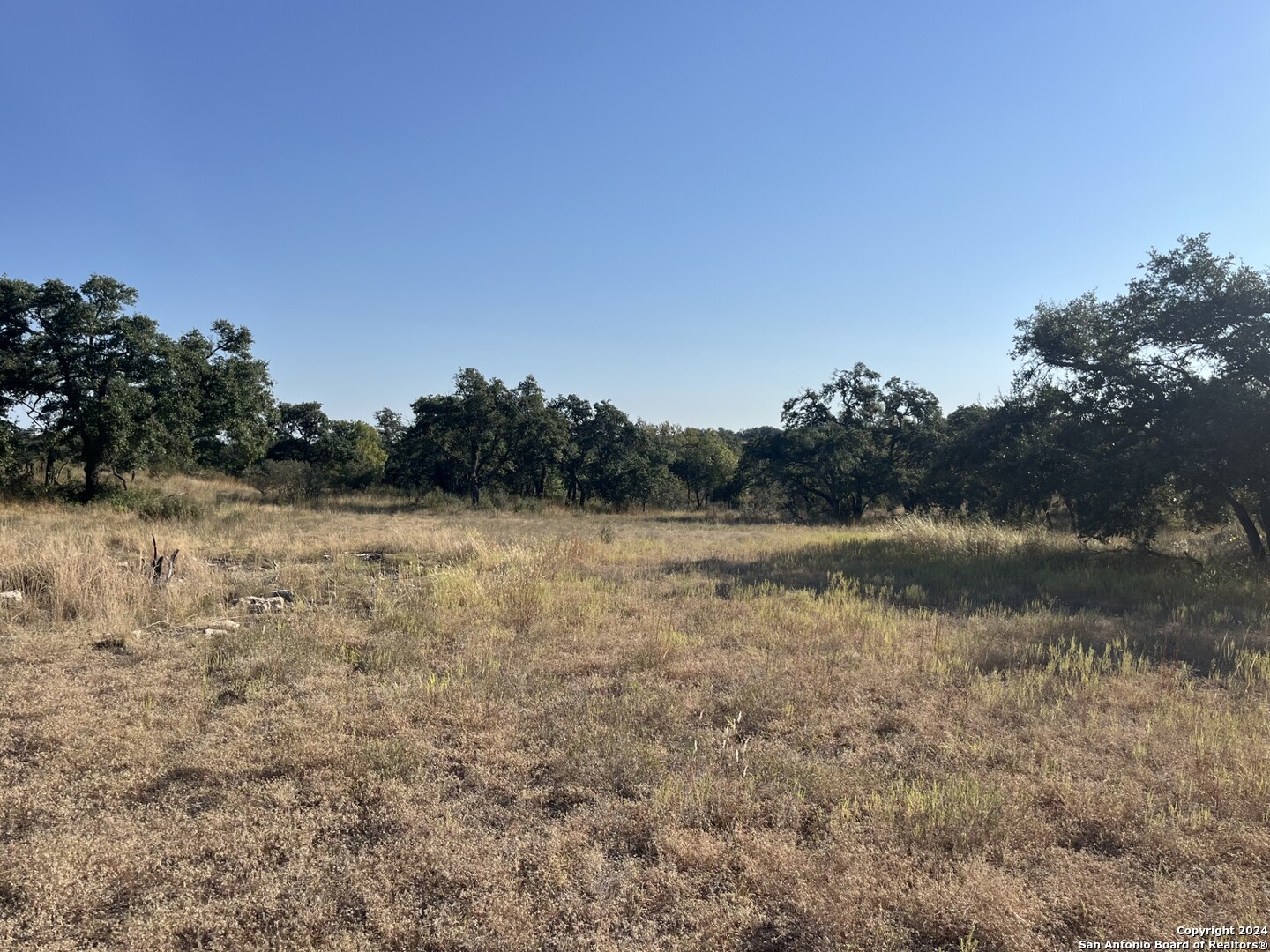 699 Whiskey Trail Blanco, TX 78606 - Photo 20 of 20