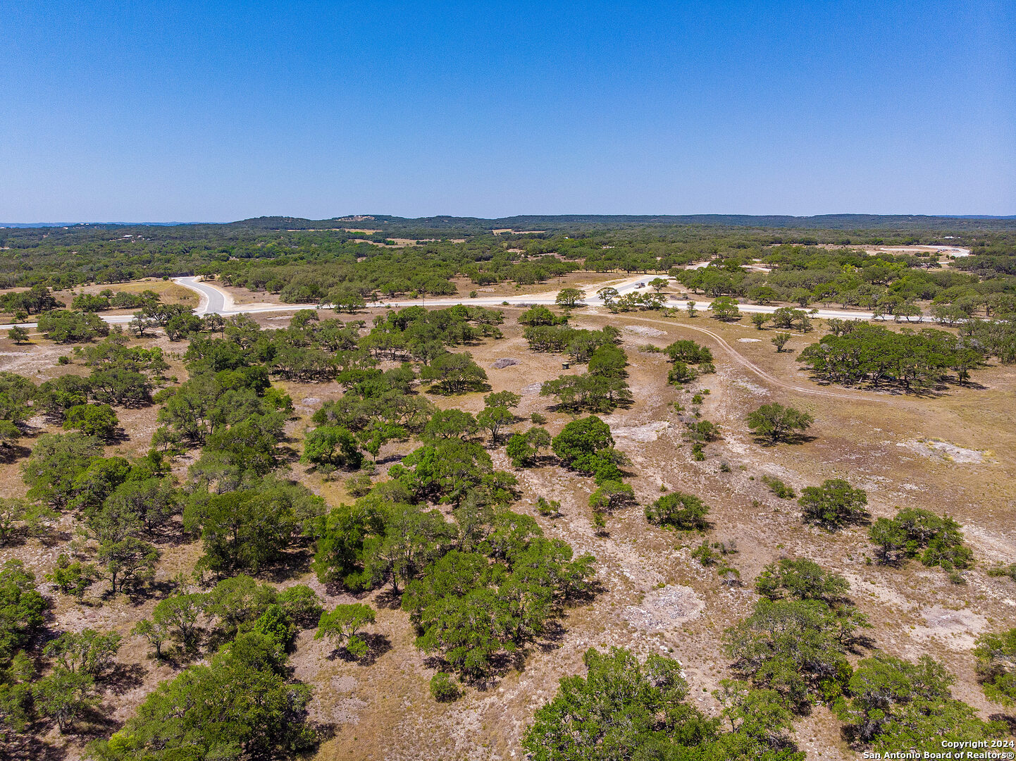 699 Whiskey Trail Blanco, TX 78606 - Photo 4 of 20