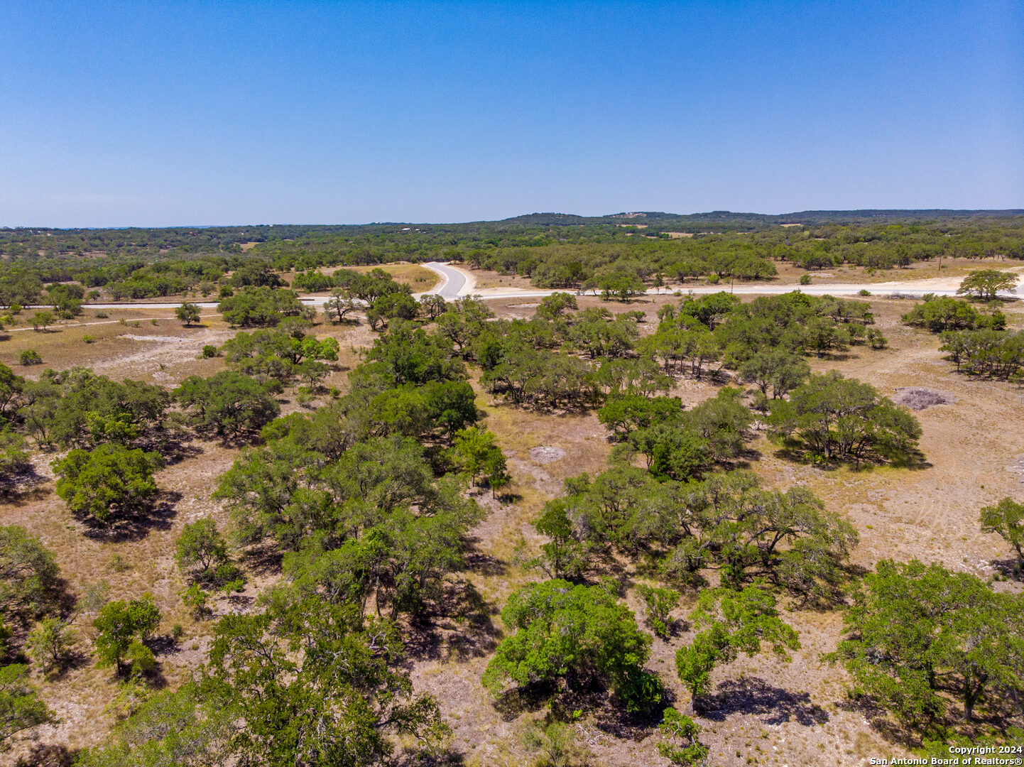 699 Whiskey Trail Blanco, TX 78606 - Photo 5 of 20