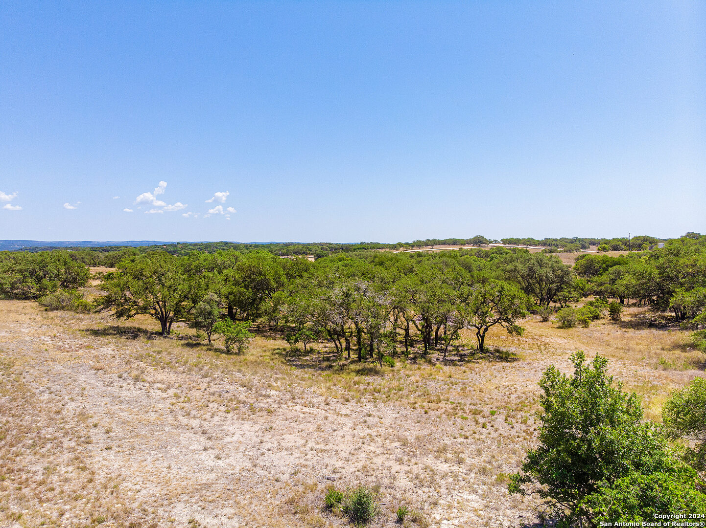 699 Whiskey Trail Blanco, TX 78606 - Photo 9 of 20