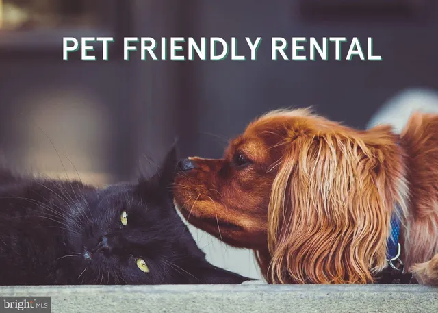 $4,550 | 500 M Street Northwest, Unit 3, Washington, DC 20001