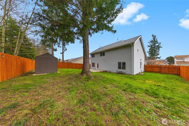 a backyard of a house with plants and large tree